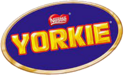 Yorkie